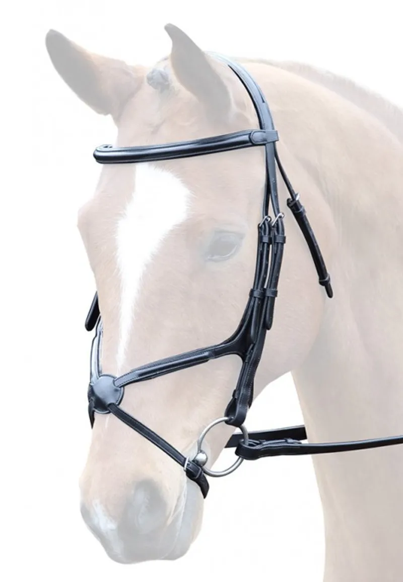 Bridleway Lavello Grackle Bridle